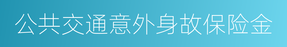 公共交通意外身故保险金的同义词