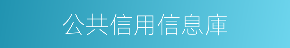 公共信用信息庫的同義詞