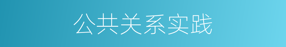 公共关系实践的同义词