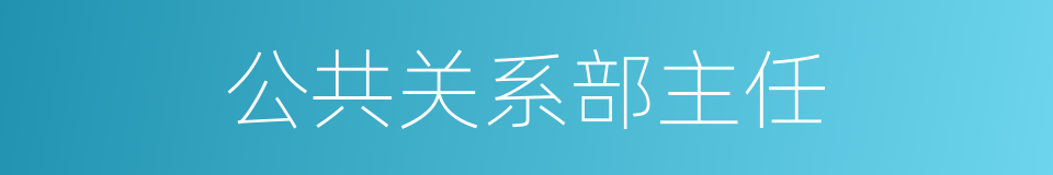 公共关系部主任的同义词