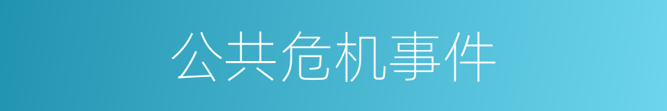 公共危机事件的同义词