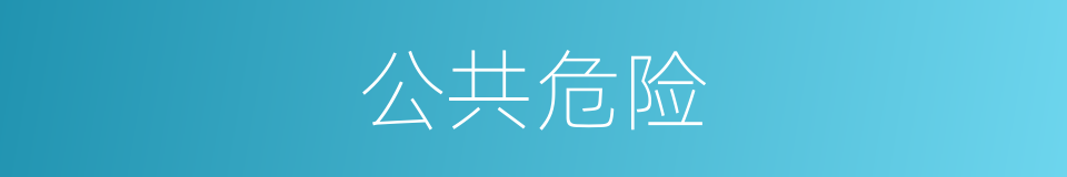 公共危险的同义词