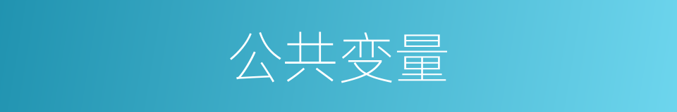 公共变量的同义词