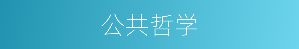 公共哲学的同义词