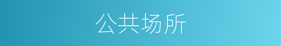 公共场所的意思