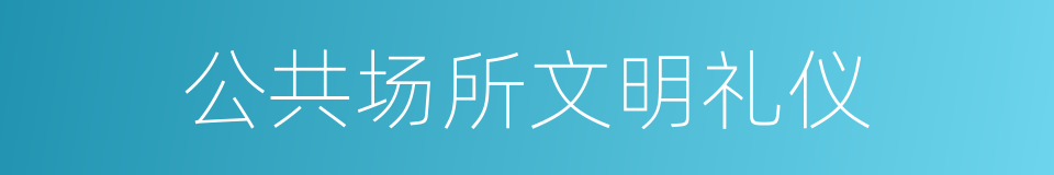 公共场所文明礼仪的同义词