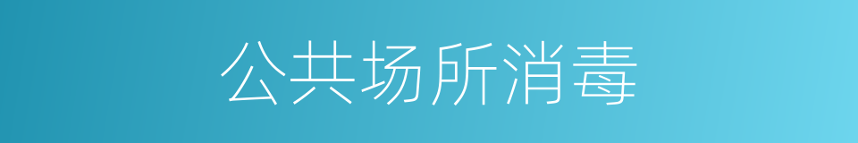 公共场所消毒的同义词