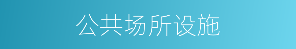 公共场所设施的同义词