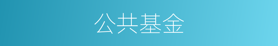 公共基金的同义词