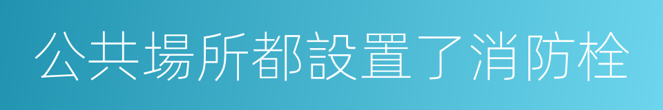 公共場所都設置了消防栓的同義詞