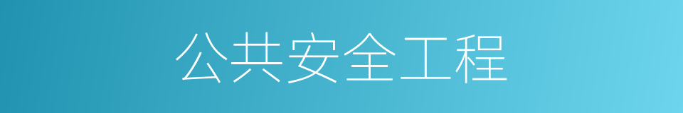 公共安全工程的同义词
