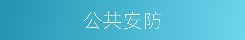 公共安防的同义词