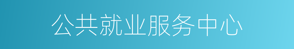 公共就业服务中心的同义词