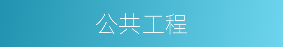 公共工程的同义词