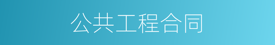 公共工程合同的同义词