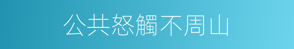 公共怒觸不周山的同義詞