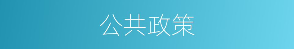 公共政策的同义词
