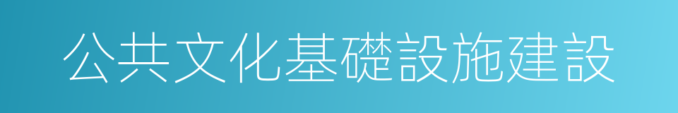 公共文化基礎設施建設的同義詞