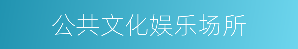 公共文化娱乐场所的同义词