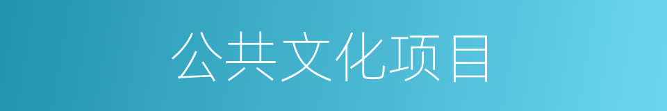 公共文化项目的同义词