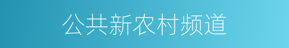 公共新农村频道的同义词