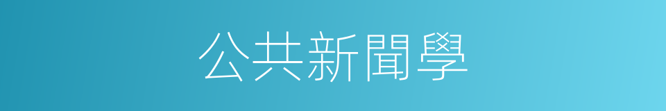 公共新聞學的同義詞