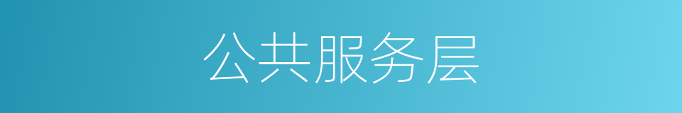 公共服务层的同义词