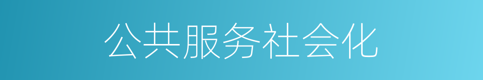 公共服务社会化的同义词