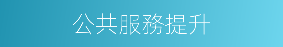 公共服務提升的同義詞