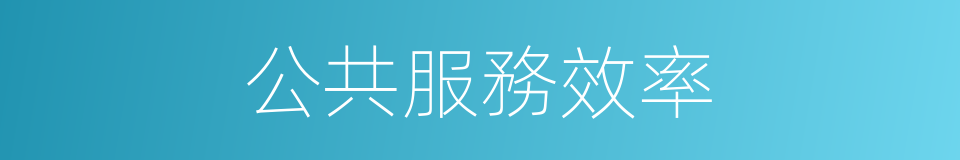 公共服務效率的同義詞