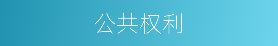 公共权利的同义词