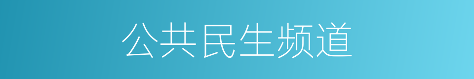 公共民生频道的同义词