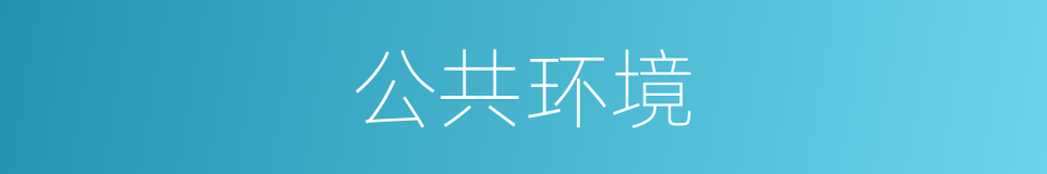 公共环境的同义词