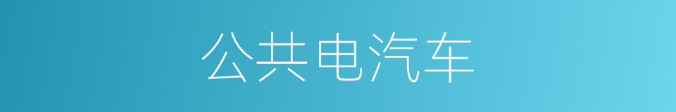 公共电汽车的同义词