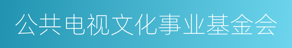 公共电视文化事业基金会的同义词