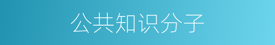 公共知识分子的同义词