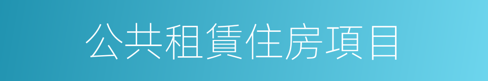 公共租賃住房項目的同義詞
