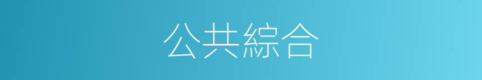 公共綜合的同義詞