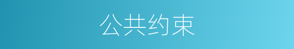 公共约束的同义词