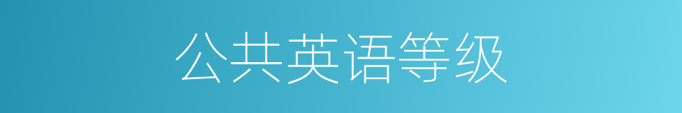 公共英语等级的同义词