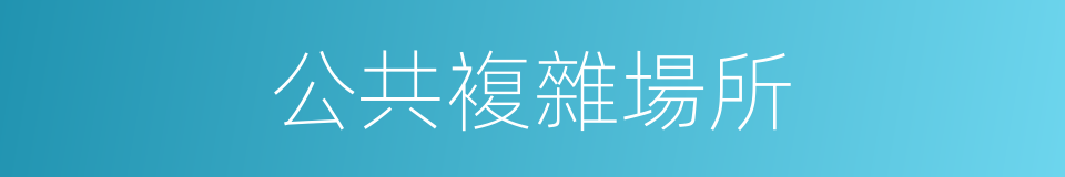 公共複雜場所的同義詞