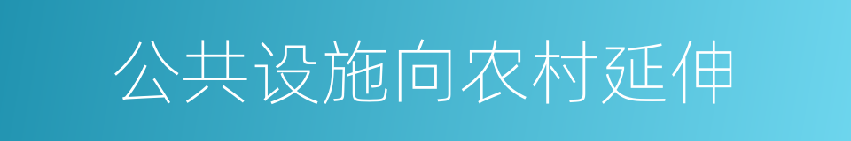 公共设施向农村延伸的同义词