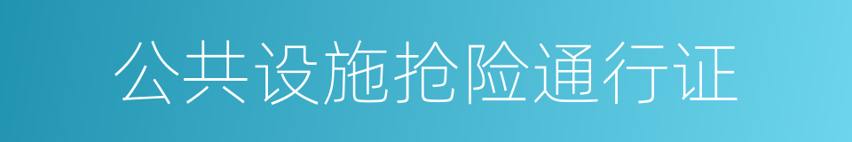 公共设施抢险通行证的同义词