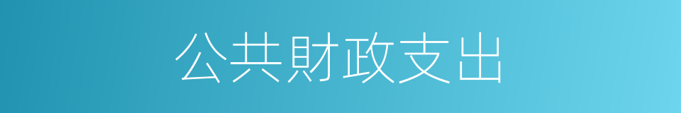 公共財政支出的同義詞