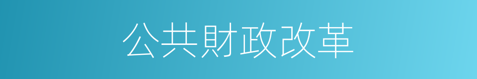 公共財政改革的同義詞