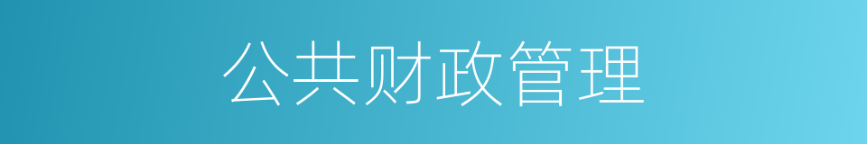 公共财政管理的同义词