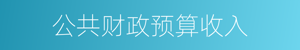公共财政预算收入的同义词
