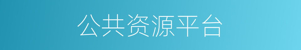公共资源平台的同义词