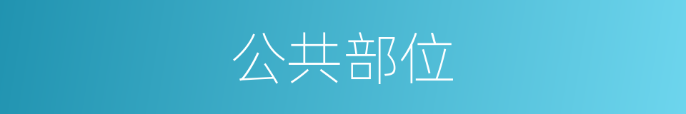 公共部位的同义词