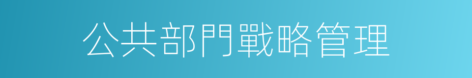 公共部門戰略管理的同義詞